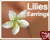 .a Lilies Earrings 