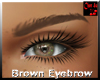 Brown Eyebrows
