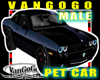 VG BLACK USA car AVI M