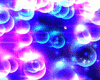 Star Burst bundle