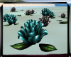 :D Animated Flowers