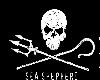 sea shepherds flag