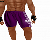 Short Pant Purple