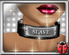 DZG~ Slave Collar