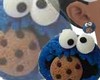 OO Cookie Monster Muppet