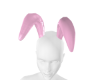 Soft Pink Bunny Eras
