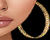 Hoop Golden Earrings