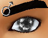!Reflective eyes gray M