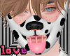puppy muzzle dalmatian 1