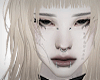 VENO_Bす
