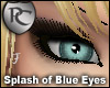 Splash of Blue Eyes