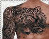 Tiger Muscle Tattoos