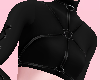 Andro Harness and Crop