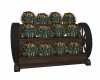 Western Cactus Planter