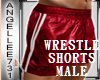 MALE GYM SHORTS-RED