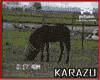 ! CABALLO LGBT (? xd