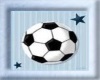 Soccerball Picture