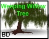 [BD[ WeepingWillowTree
