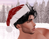 Santa Winter Hat (+hair)