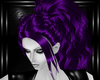 purple england hairs