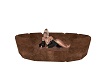 NA-Pet Bed For1 or 2