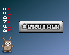 (BS) BROTHER sticker