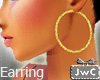 [JwC]Gold earring