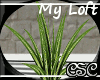 {CSC} ML Plant Refl