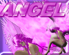 (RN)*HoT Angel Pink H4