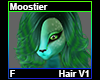 Moostier Hair F V1