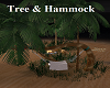 Tree & Hammock