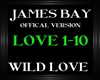 James Bay ~ Wild Love V2