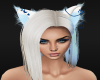 Wht kitty ears w/blue