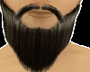 Sexy Beard HD