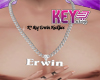 K* Req Erwin NL