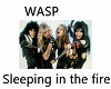 WASP