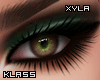 \< Cover Shot  (Xyla)