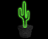 Neon Cactus Club Plant 2