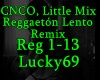 Reggaeton Lento Remix