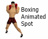 Da Boxing Spot