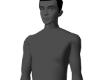 SKIN GRAY