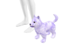 lilac puppy