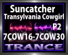 Suncatcher - Cowgirl P2