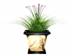  flowering plant vase