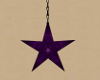 purple star V2