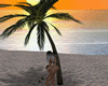 [BM] Palm tree Kiss 🌴
