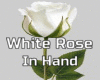 White ROSE