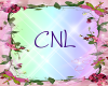 [CNL]DOC flower 16