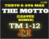 The Motto-Tiesto&AvaM