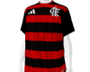 ⚽ Flamengo 2025 ⚽